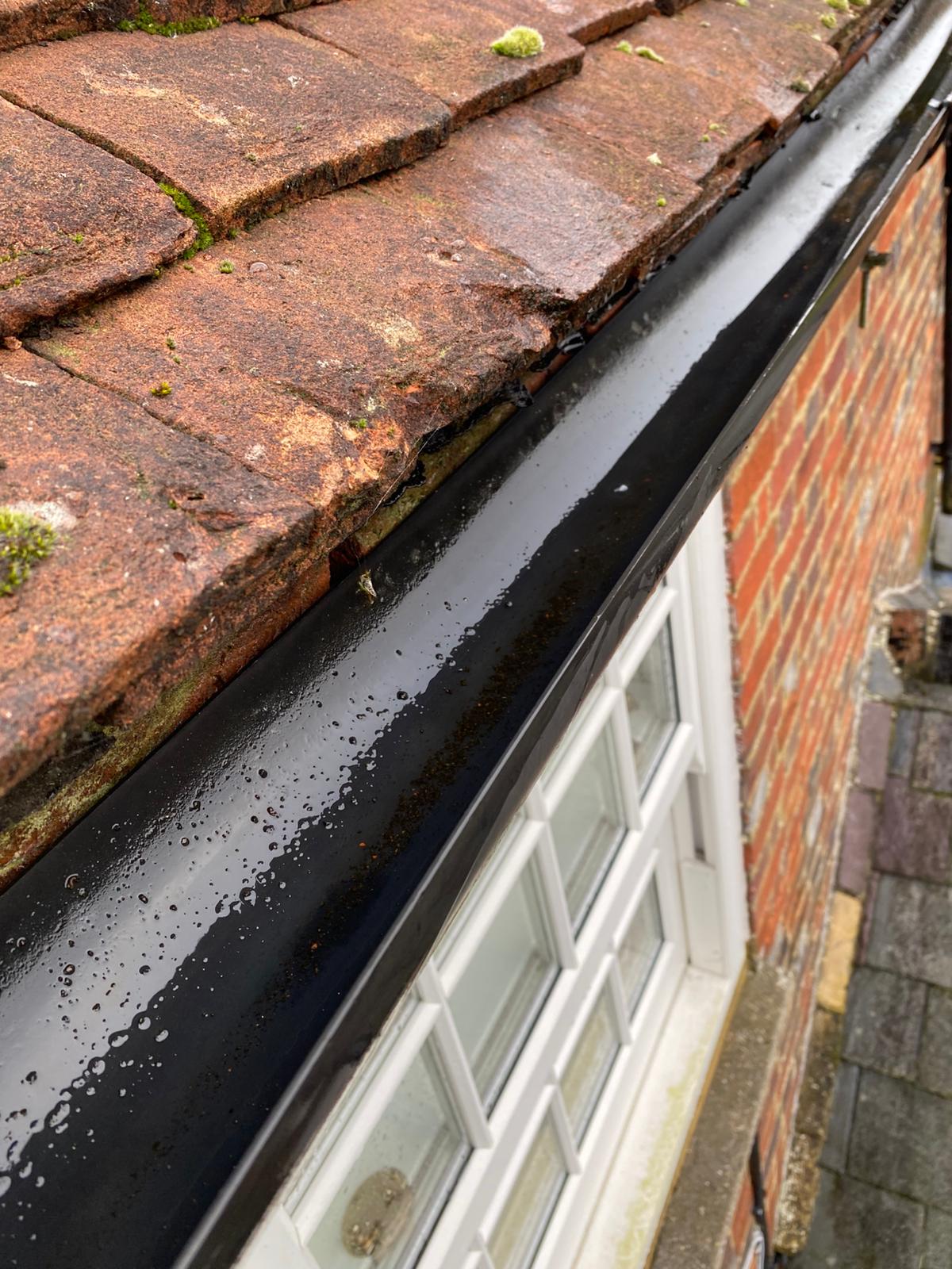 gutter cleared  - Quelm Park Gutter Clearance is the solution!